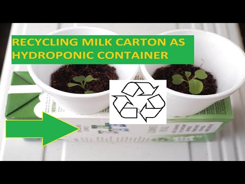 Recycling Milk Carton as Hydroponic Container