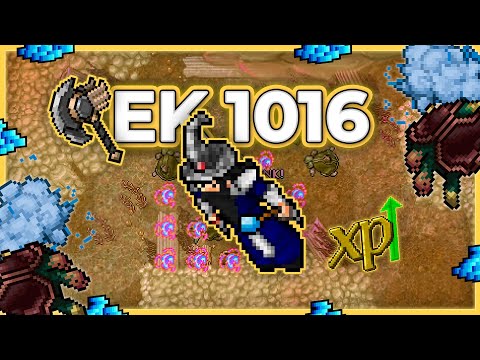 EK 1016 Hunt Solo (Bestiary) Great Pearl Fan Reef 1.1kk Profit/h - Tibia Hunt [12.91] #tibiahunt