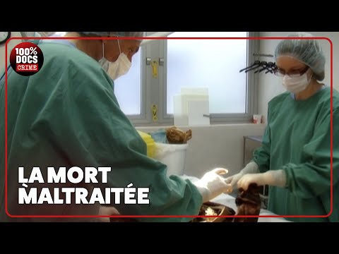 Quand la mort rapporte : scandales et enquêtes [COMPILATION]
