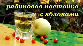 Рецепт настойки рябины