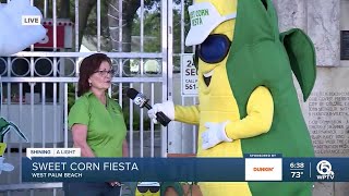 T.A. Walker dresses up in a corn costume for the Sweet Corn Fiesta