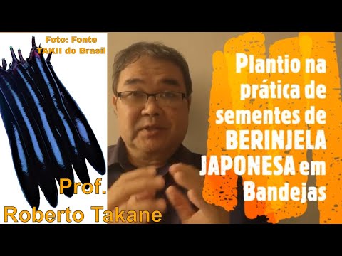 , title : 'Plantio na prática de sementes de BERINJELA JAPONESA em Bandejas! Prof.Roberto Takane'