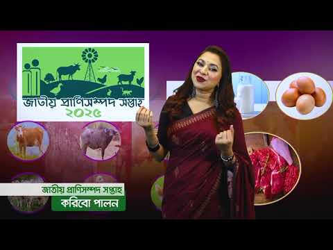 জাতীয় প্রাণিসম্পদ সপ্তাহ ২০২৫ এর থিম সঙ্গ।