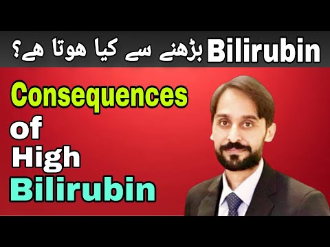 What happens when bilirubin increases?