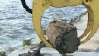 preview picture of video 'Hampton Roads Debris Removal'