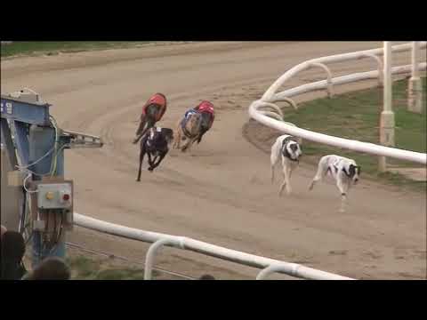 2018 WILLIAM HILL STANDARD FINAL - T3 JAGUAR JACK