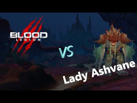 Blood Legion vs. Mythic Lady Ashvane (Balance Druid PoV)