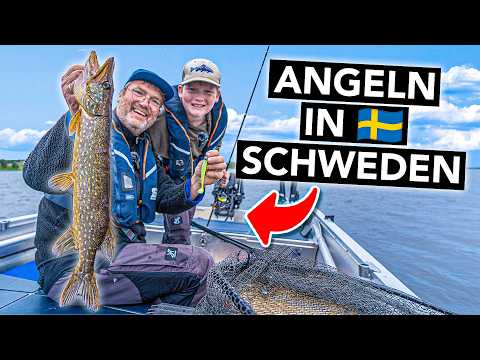 Angeln auf Raubfische in Schweden 🇸🇪 Die besten Tipps für Anfänger