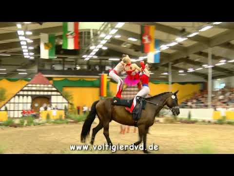 VFZ-Mainz-Ebersheim I - Team 10 - DMV Verden 2017