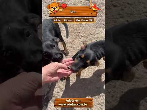 Vídeo de Kira