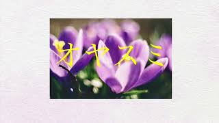 [オヤスミ]MANSION PARK/prod.B monumen./epe freaks.Min@.