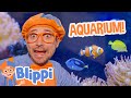 Blippi Visits The Marine Animals Of The Aquarium Of Boise Blippi Full Episodes