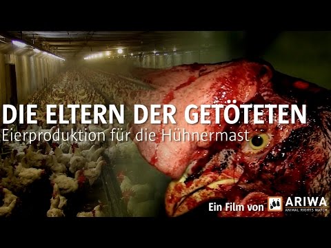 , title : 'ARIWA - Die Eltern der Getöteten / Eierproduktion für die Hühnermast'