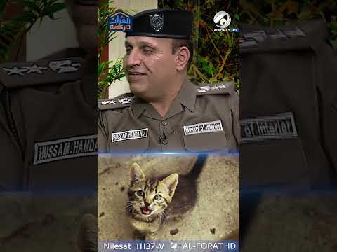 شاهد بالفيديو.. الدفاع المدني ينقذ قطة من اعلى شجرة في بغداد