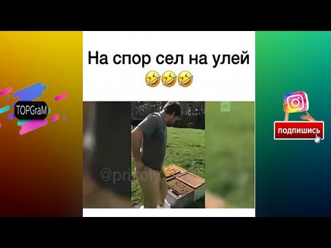 TOPGraM - Новая Подборка На спор сел на улей  |Половина моя кавказкая версия[Выпуск 4] сентябрь 2017