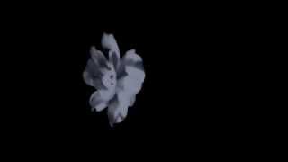 Ivano Fossati - Pianissimo - ...... (A' la Recerche......)