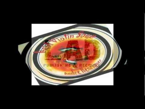 Andre Henriquez "Chasing Crickets" from "Acid Violin Soup" Promo Video 