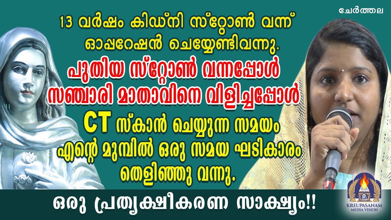 13 വർഷം കിഡ്നി സ്റ്റോൺ വന്ന് ഓപ്പറേഷൻ ചെയ്യേണ്ടിവന്നു. പുതിയ സ്റ്റോൺ വന്നപ്പോൾ സഞ്ചാരി