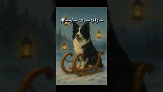 ボーダーコリーソリー#ジャパニーズブレインロット #ブレインロット