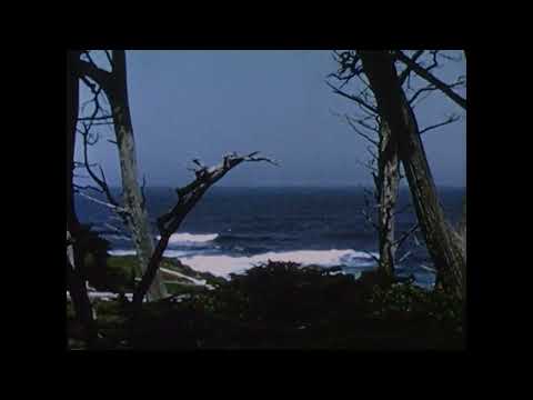 Voyage Futur - Celestial Shore