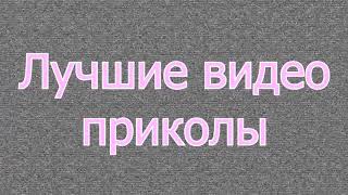 Приколы с кошками#4 Лучшие видео приколы 2016