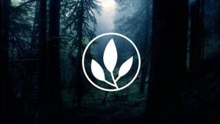 Prima - Moonrise Kingdom