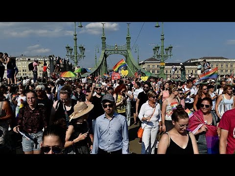 Ungarns verbotene Pride: EU-Abgeordnete sprechen von "Wendepunkt" für die Demokratie