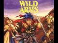 Wild ARMs Into The Wilderness