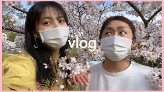 【vlog】お花見しながらピクニック🌸【記念日デート】