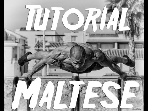 Tutorial del Maltés