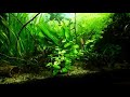 odin 68 hat ein neues Video zu seinem Beispiel mein kleines Amazonas Becken hochgeladen.