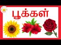 பூக்கள் தமிழரசி Learn Flowers Names In Tamil For Kids Children