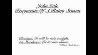 John Cale - On a Wedding Anniversary