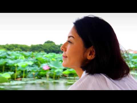 たてばやし城沼花ハス遊覧船