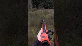 Schwere Sauen rücken schlecht – Drückjagd im Sauenhang! Heute um 19 Uhr auf YouTube🎥🌿