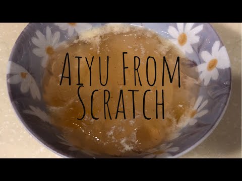 Aiyu From Scratch