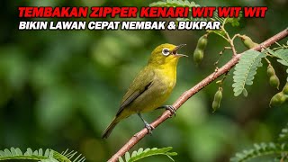 Download lagu PANCINGAN PLECI NEMBAK ZIPPER KENARI WIT WIT WIT , BIKIN LAWAN CEPAT E,OSI DAN BUKA PARUH mp3 Download lagu PANCINGAN PLECI NEMBAK ZIPPER KENARI WIT WIT WIT , BIKIN LAWAN CEPAT E,OSI DAN BUKA PARUH mp3