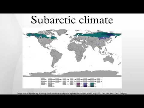 Subarctic climate