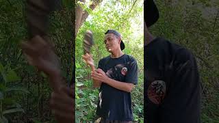 Download lagu video lucu bikin ngakak hiburan warga 62 #funny #comedyterbaru mp3 Download lagu video lucu bikin ngakak hiburan warga 62 #funny #comedyterbaru mp3