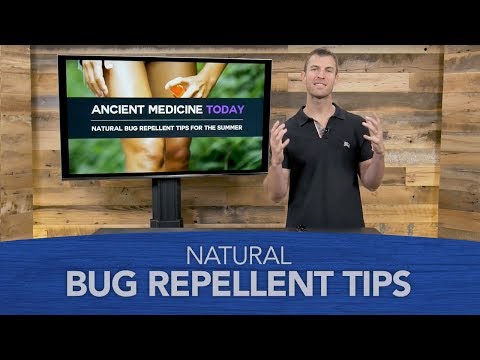Natural Bug Repellent Tips for the Summer