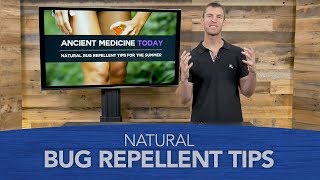 Natural Bug Repellent Tips for the Summer