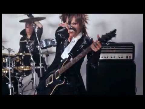 SIGNAL - GLOW BACK OVER SCARS PV (FULL)