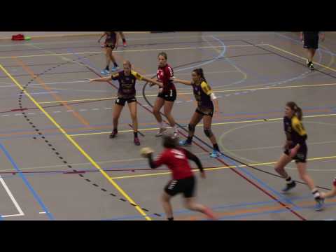 Fragment Gemini DS1 - PSV Handbal DS1 21-01-2017