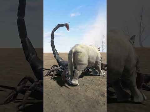 Epic Encounter Rhinoceros vs Emperor Scorpion
