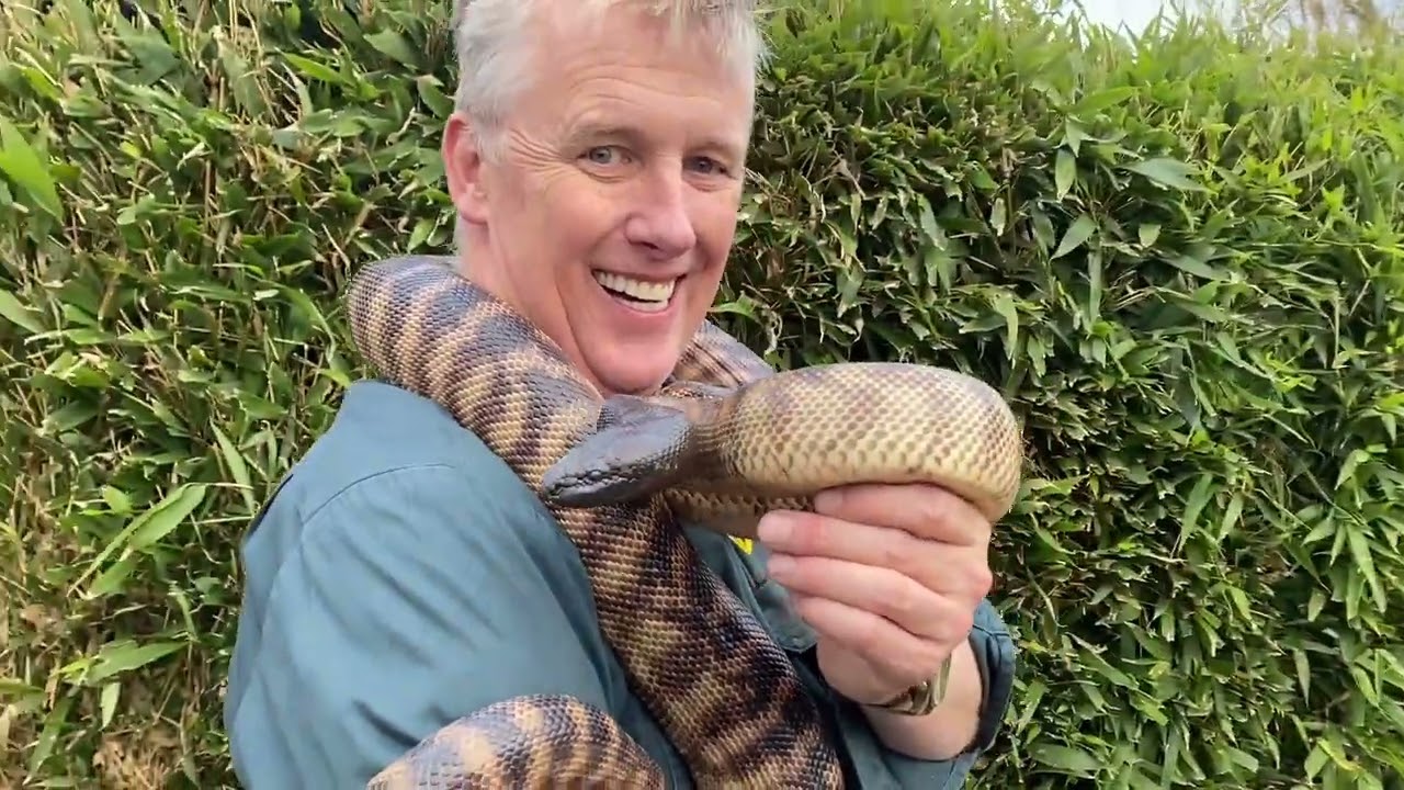 Take a peek at Hobart Zoo & Aquarium.