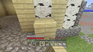 ［狂王マイクラ生放送］城下町作成！民家を作ろう！