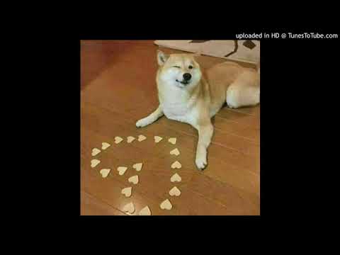 Pet Petter - Oni Mówią O Mnie