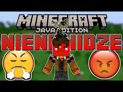 100 THINGS THAT MAKE ME HATE Minecraft JAVA EDITION!