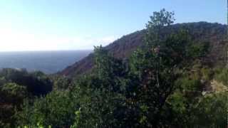 Wind - &quot;She Loves Me&quot; by Mr Marvin