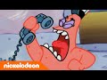 SpongeBob SquarePants | Aflevering in vijf minuten | Grote roze verliezer | Nickelodeon Nederlands